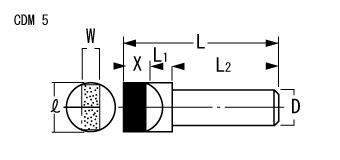 CDM 5